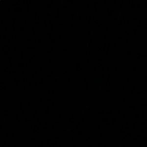 Meet your Posher, Billy